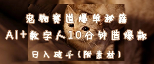 宠物赛道爆单秘籍:AI+数字人10分钟造爆款,日入1k网赚项目-三才资源库分享