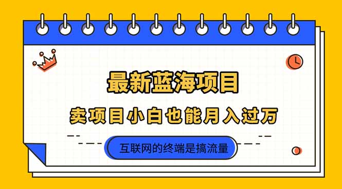 2025年最新蓝海项目，卖项目小白也能月入过万网赚项目-三才资源库分享