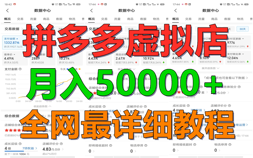 拼多多虚拟电商训练营月入50000+你也行，暴利稳定长久，副业首选网赚项目-三才资源库分享