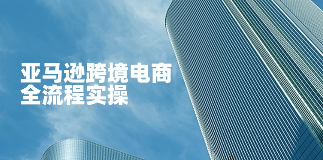 亚马逊跨境电商全流程实操，教你从零开始，掌握店铺运营与广告技巧网赚项目-三才资源库分享