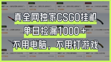 真全网独家CSGO挂G，单日捡漏1k+【揭秘】网赚项目-三才资源库分享