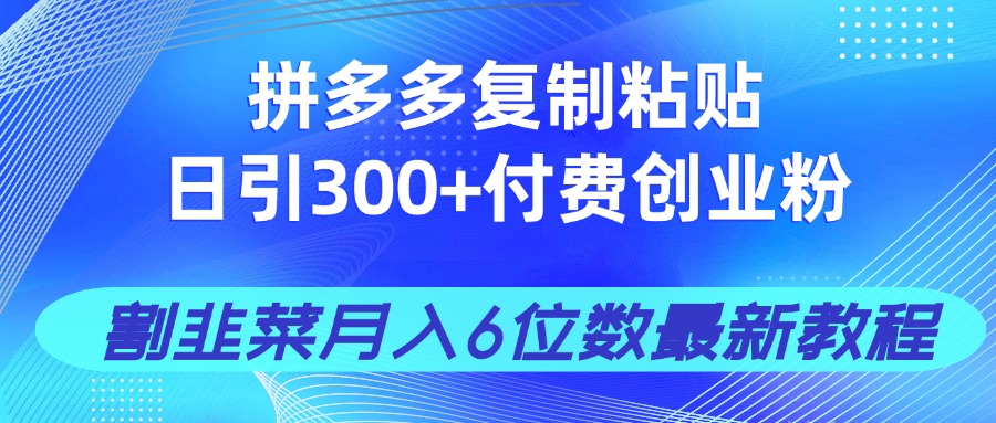 拼多多复制粘贴日引300+付费创业粉,割韭菜月入6位数最新教程!网赚项目-三才资源库分享