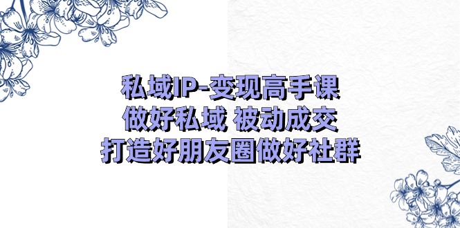 私域IP变现高手课:做好私域被动成交,打造好朋友圈做好社群(18节)网赚项目-三才资源库分享
