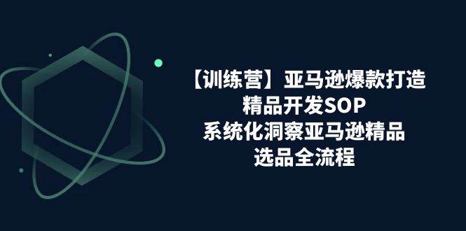 亚马逊爆款打造之精品开发SOP【训练营】，系统化洞察亚马逊精品选品全流程网赚项目-三才资源库分享