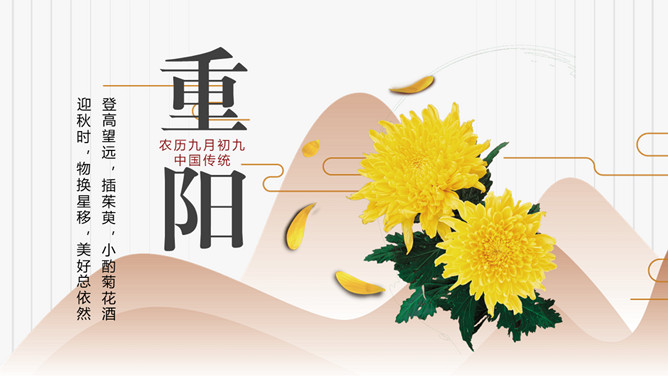 菊花重阳节介绍PPT模板-三才资源库分享