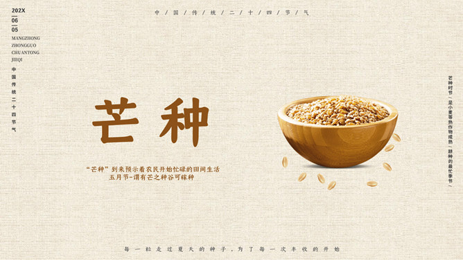 木碗麦粒芒种节气PPT模板-三才资源库分享