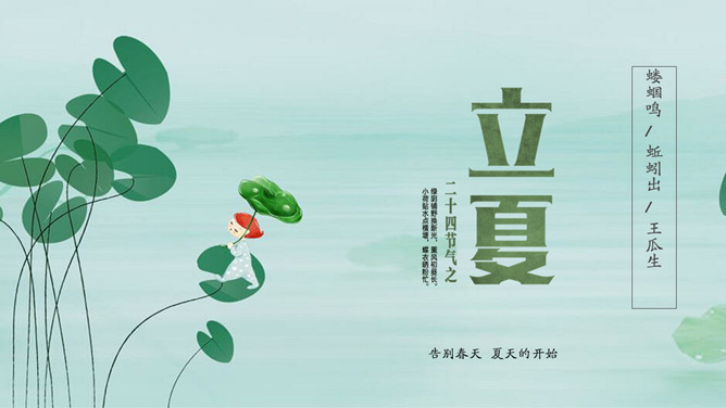 荷叶立夏节气主题PPT模板-三才资源库分享