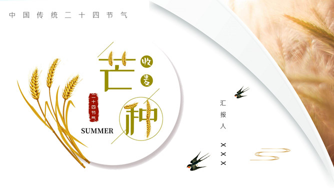 麦穗芒种节气介绍PPT模板-三才资源库分享