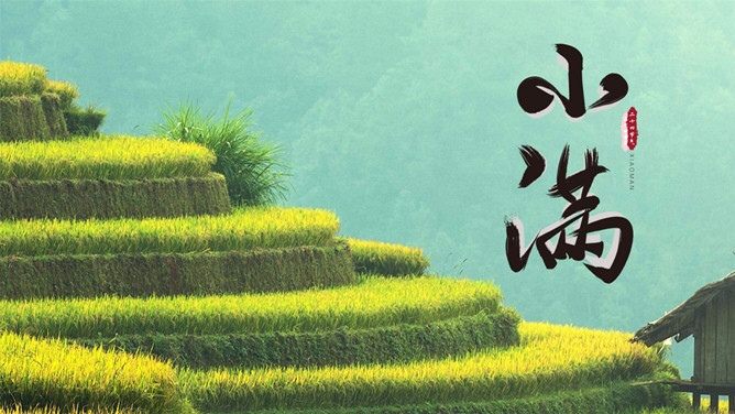 梯田小满节气主题PPT模板-三才资源库分享