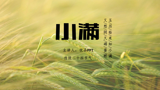 麦田小满节气介绍PPT模板-三才资源库分享