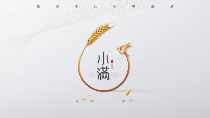 麦穗小满节气介绍PPT模板-三才资源库分享