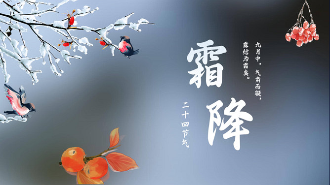 树枝小鸟霜降节气PPT模板-三才资源库分享