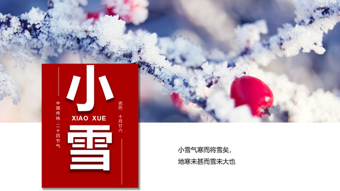 冰雪树枝小雪节气PPT模板-三才资源库分享