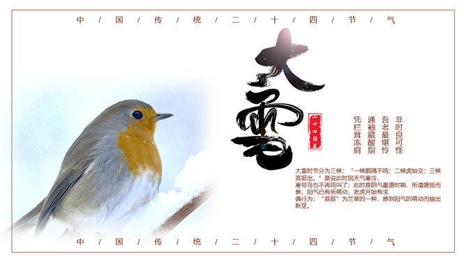 小鸟大雪节气主题PPT模板-三才资源库分享