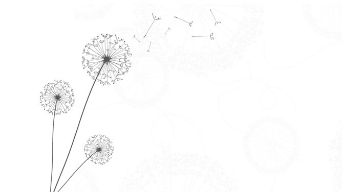 唯美蒲公英PPT背景图片-三才资源库分享