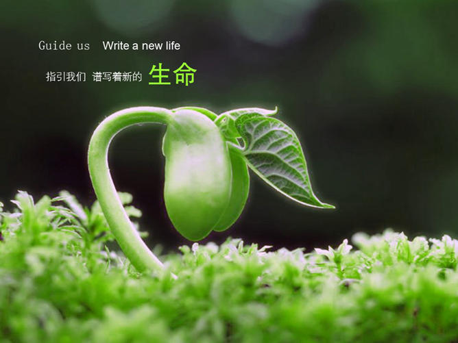 美丽绿色大自然PPT背景图片-三才资源库分享