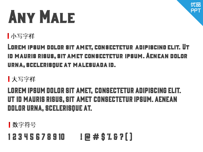 Any Male字体-三才资源库分享