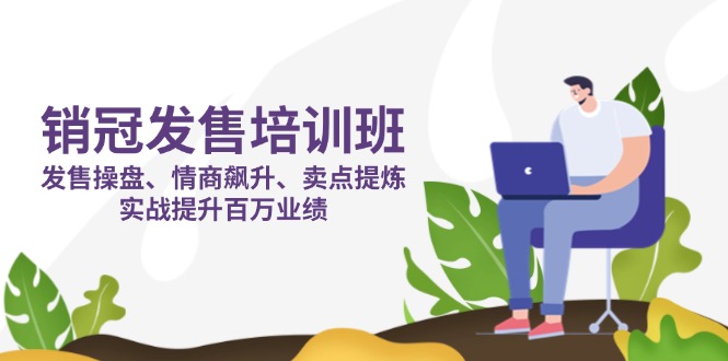 销冠 发售培训班:发售 操盘+情商 飙升+卖点 提炼,实战提升百万业绩网赚项目-三才资源库分享