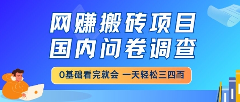 网创搬砖项目,国内问卷调查,小白轻松上手,一天三四张的也不难,干就完了【揭秘】网赚项目-三才资源库分享