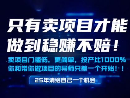 只有卖项目才能做到稳挣不赔,门槛低,更简单,你也可以年入百个W【揭秘】网赚项目-三才资源库分享
