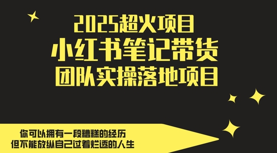2025超火项目,副业最佳选择,小红书笔记带货团队实操落地项目,,轻松日入5张网赚项目-三才资源库分享