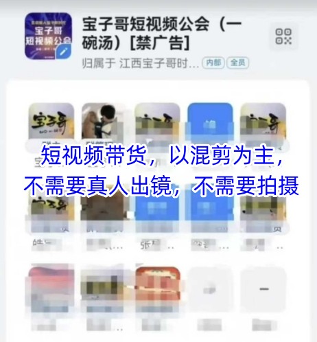 宝子哥头部团队短视频带货，以混剪为主，不需要真人出镜，不需要拍摄网赚项目-三才资源库分享