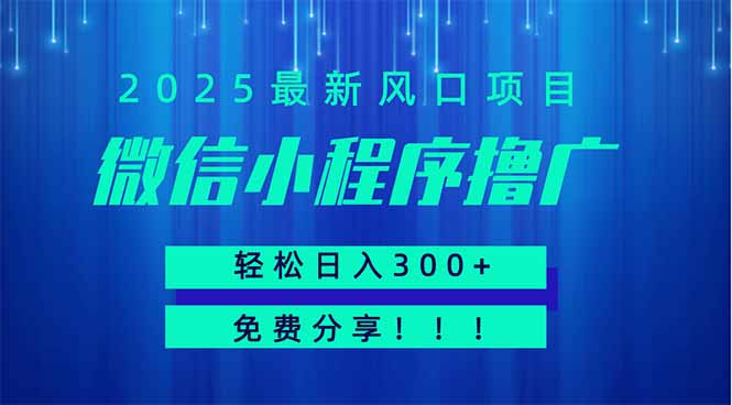 微信小程序撸广,最新风口项目,日入300+ 免费分享 可批量操作 小白可…网赚项目-三才资源库分享