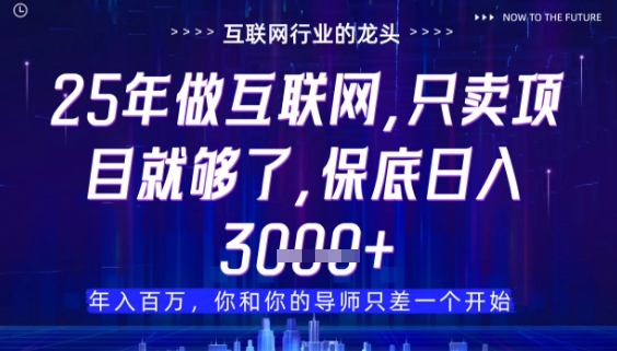 什么！25年你还在找项目做？风口早就变了，卖项目才是稳挣不赔【揭秘】网赚项目-三才资源库分享