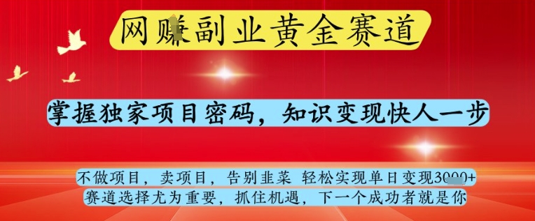 网创副业黄全赛道，掌握独家项目密码，知识变现快人一步，告别韭菜轻松实现单日变现1k+【揭秘】网赚项目-三才资源库分享