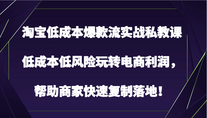 淘宝低成本爆款流实战私教课,低成本低风险玩转电商利润,帮助商家快速复制落地!网赚项目-三才资源库分享