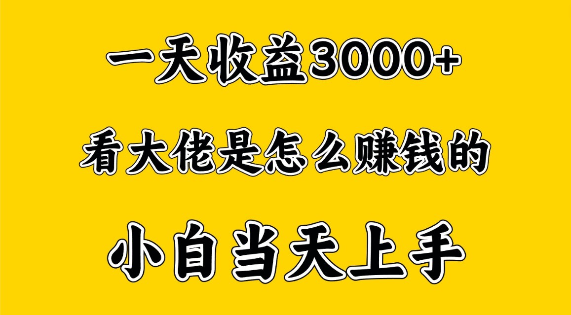 一天赚3000多,大佬是这样赚到钱的,小白当天上手,穷人翻身项目网赚项目-三才资源库分享
