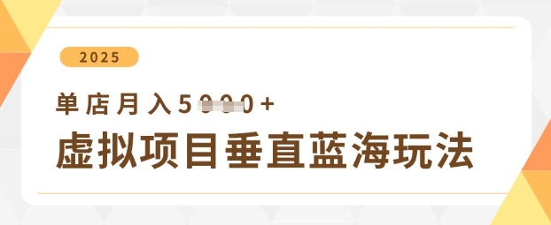 虚拟项目垂直玩法，实现单店月入5k+网赚项目-三才资源库分享