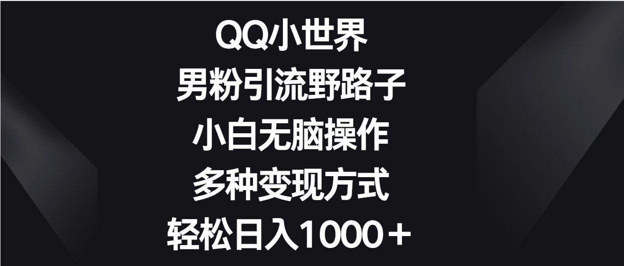 QQ小世界男粉引流野路子，小白无脑操作，多种变现方式轻松日入1000＋网赚项目-三才资源库分享