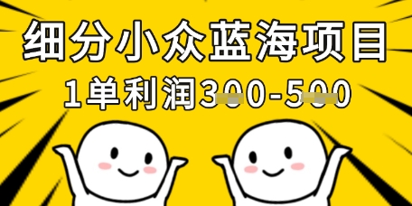 细分小众蓝海项目，一单利润3张，每月收入稳定过1w+网赚项目-三才资源库分享