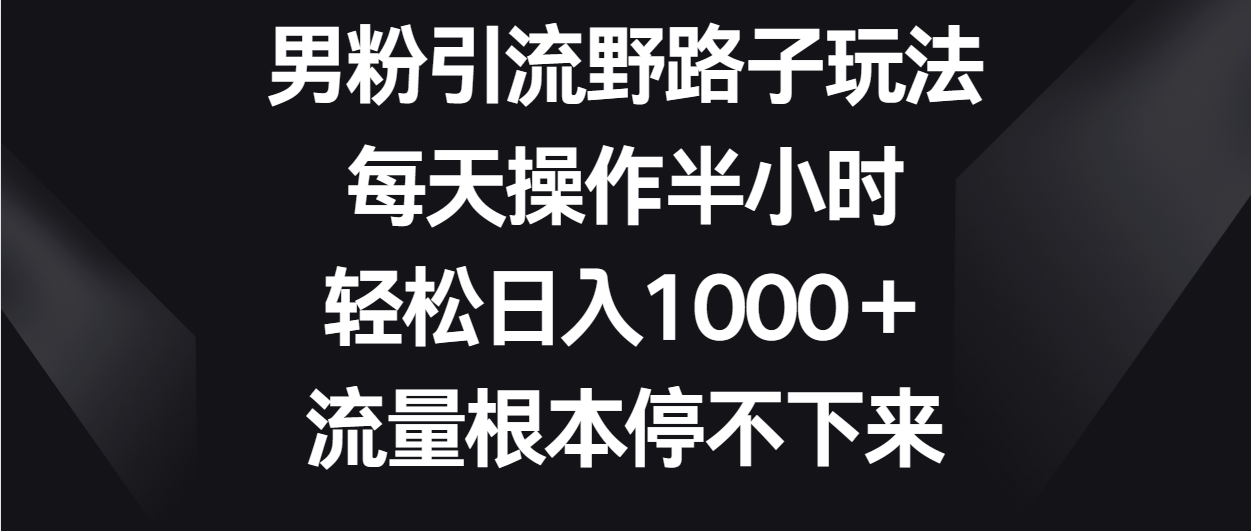 男粉引流野路子玩法,每天操作半小时轻松日入1000+,流量根本停不下来网赚项目-三才资源库分享
