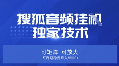 【搜狐音频挂G】独家技术，可矩阵可放大，红利期稳定月入8k【揭秘】网赚项目-三才资源库分享