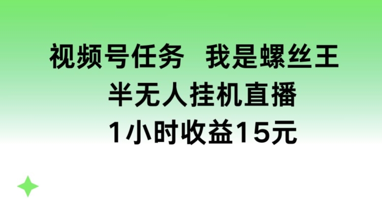 视频号任务，我是螺丝王， 半无人挂机1小时收益15元网赚项目-三才资源库分享
