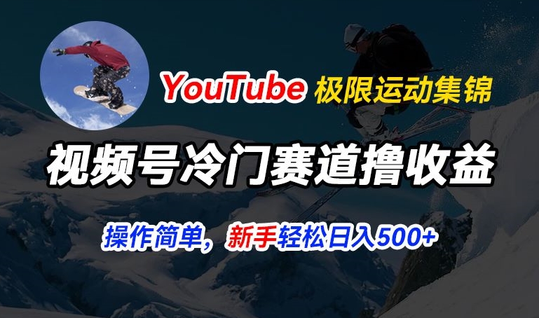 视频号冷门赛道撸收益,YouTube搬运极限运动集锦,暴力起号,操作简单流量高,轻松日入5张网赚项目-三才资源库分享
