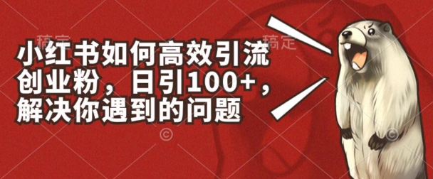 小红书如何高效引流创业粉,日引100+,解决你遇到的问题网赚项目-三才资源库分享