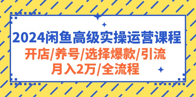 2024闲鱼高级实操运营课程：开店/养号/选择爆款/引流/月入2万/全流程网赚项目-三才资源库分享