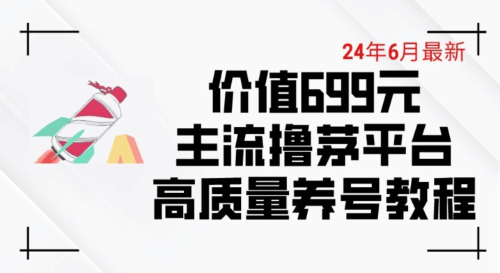 6月最新价值699的主流撸茅台平台精品养号下车攻略网赚项目-三才资源库分享