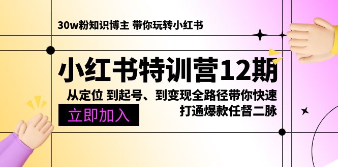 小红书特训营12期:从定位 到起号、到变现全路径带你快速打通爆款任督二脉网赚项目-三才资源库分享