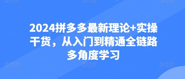 2024拼多多最新理论+实操干货，从入门到精通全链路多角度学习网赚项目-三才资源库分享