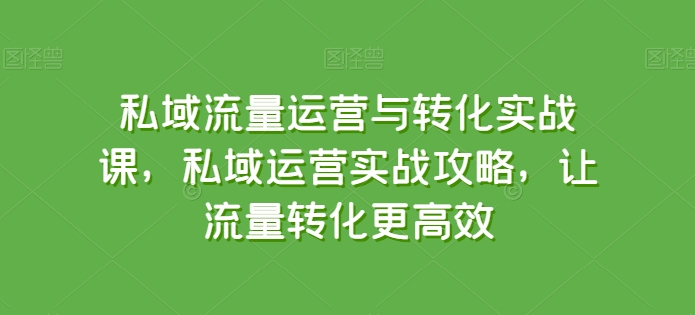 私域流量运营与转化实战课,私域运营实战攻略,让流量转化更高效网赚项目-三才资源库分享