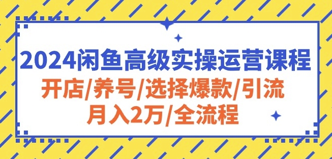 2024闲鱼高级实操运营课程:开店/养号/选择爆款/引流/月入2万/全流程网赚项目-三才资源库分享