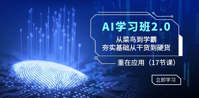 AI学习班2.0:从菜鸟到学霸,夯实基础从干货到硬货,重在应用(17节课)网赚项目-三才资源库分享