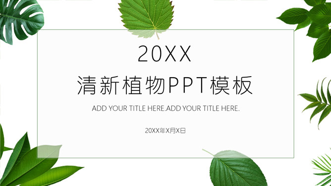 清新绿叶绿色植物PPT模板-三才资源库分享