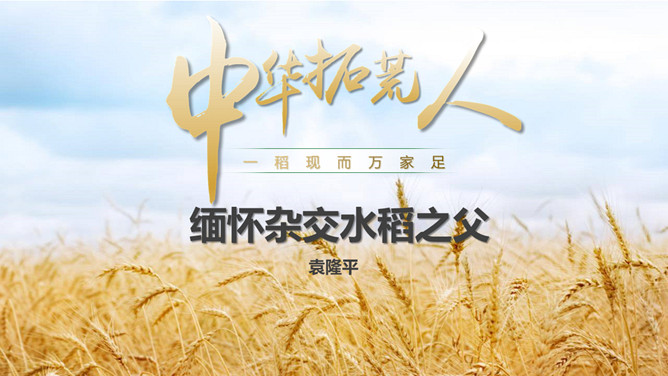 缅怀杂交水稻之父袁隆平PPT模板-三才资源库分享