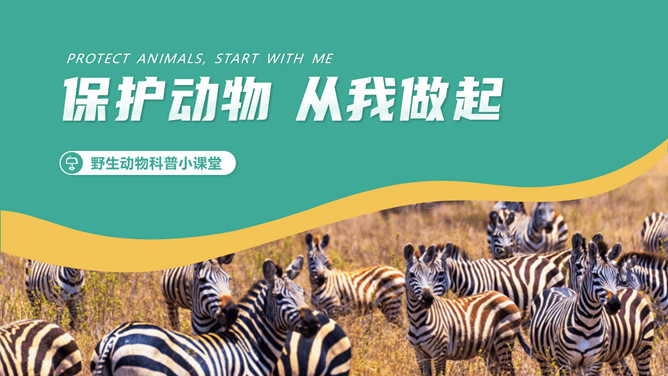保护野生动物从我做起PPT模板-三才资源库分享