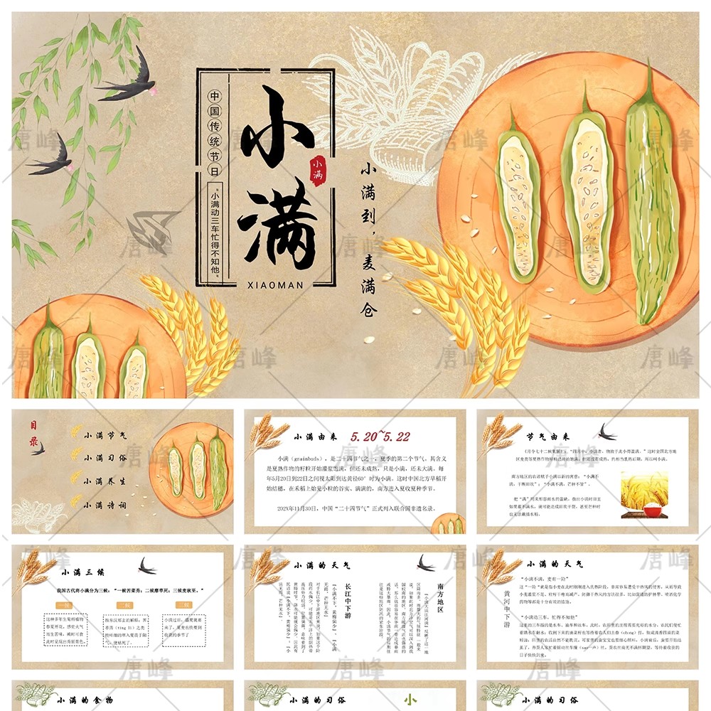 44款，绿色清新中国传统文化小满二十四24节气卡通介绍课件动态ppt模板-三才资源库分享